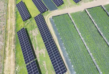 Sistem fotovoltaic de 221kWp cu stocare de 49kWh. 2